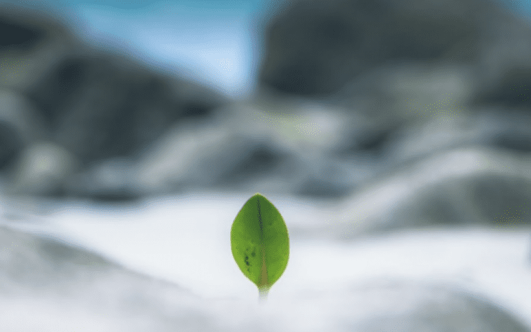 Hope Gives Rise to Hope: Proposal for a New Posture