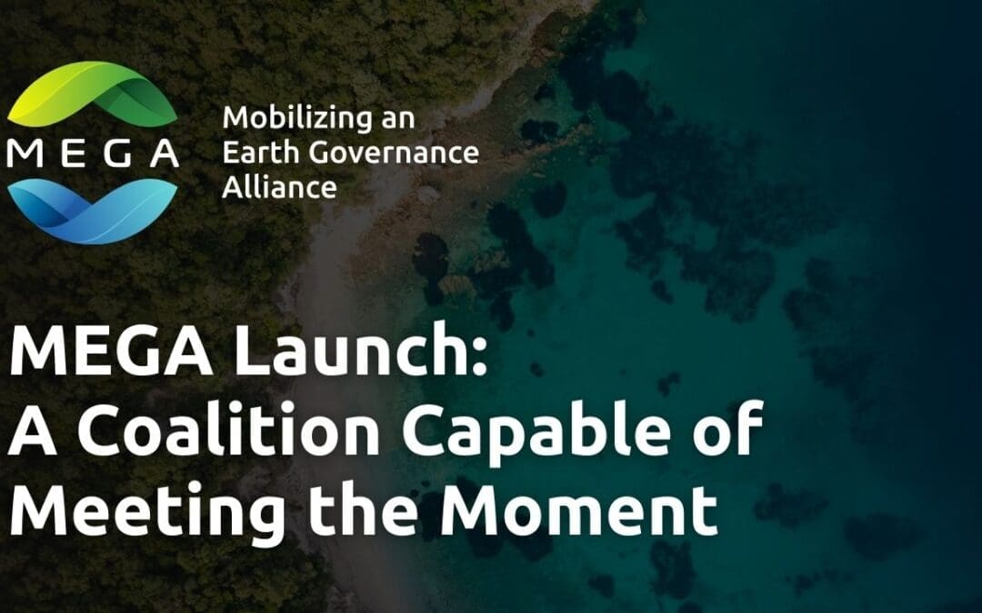 MEGA launch: A Coalition Capable of Meeting the Moment
